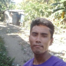 images
