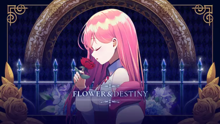 식스타 게이트: 스타게이저 - Flower & Destiny 팩