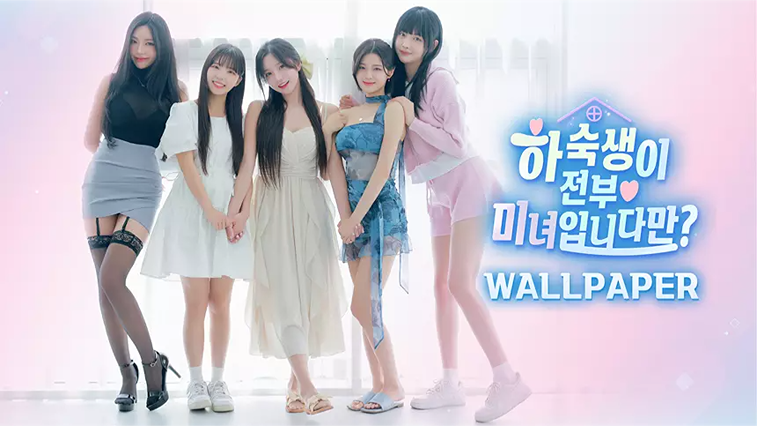 하숙생이 전부 미녀입니다만? 월페이퍼