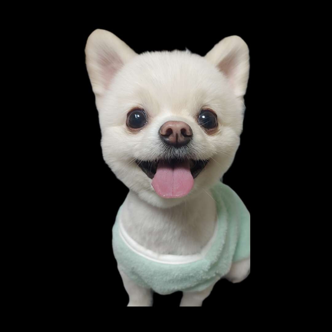 프로필 이미지
