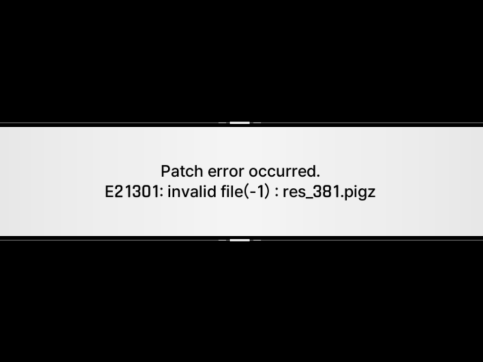 Error E21301:invalid file(-1): res_381.pigz