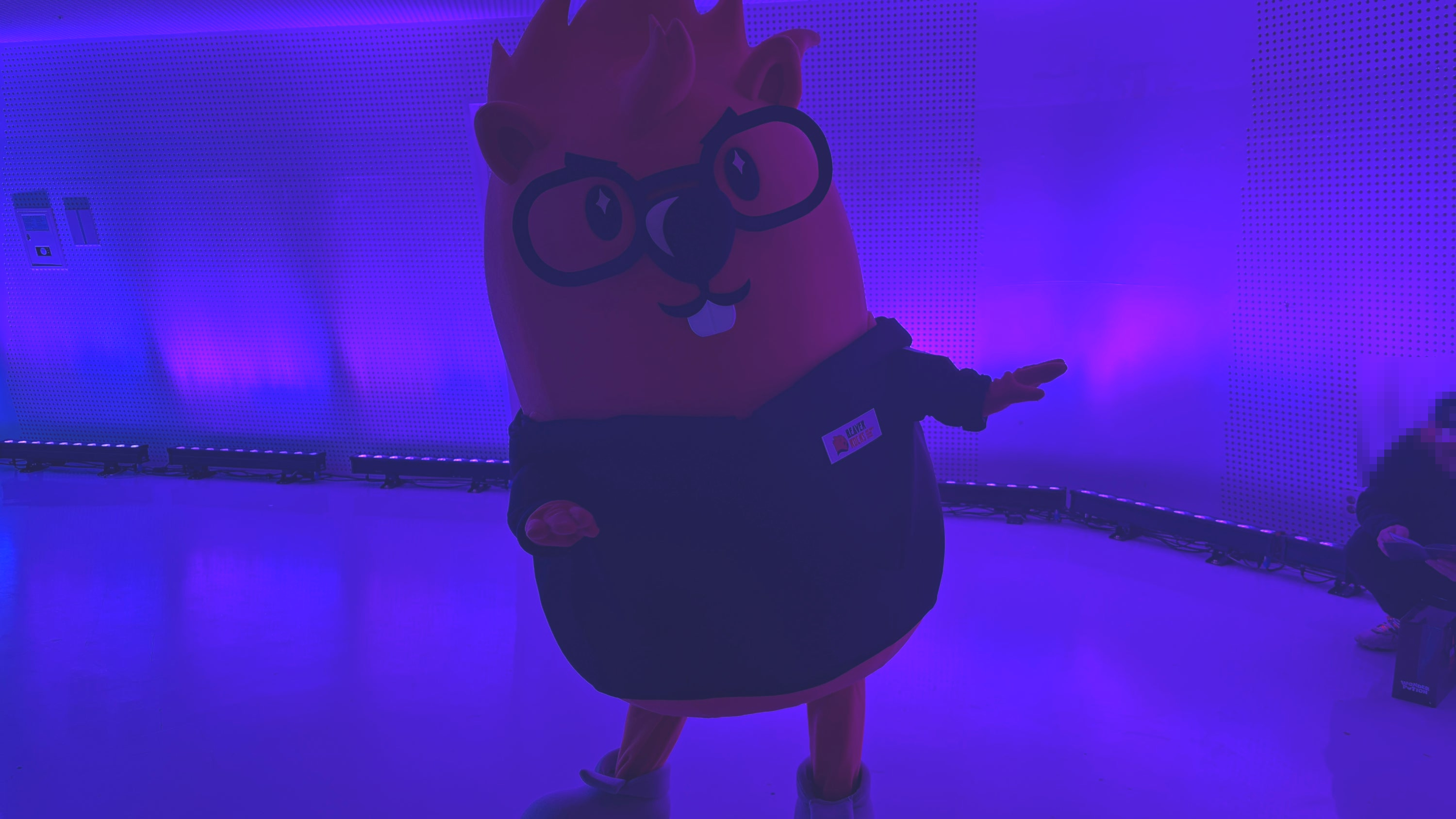 [비버 롹스 Beaver Rocks] 선물 같은 오프라인 인디 게임 축제