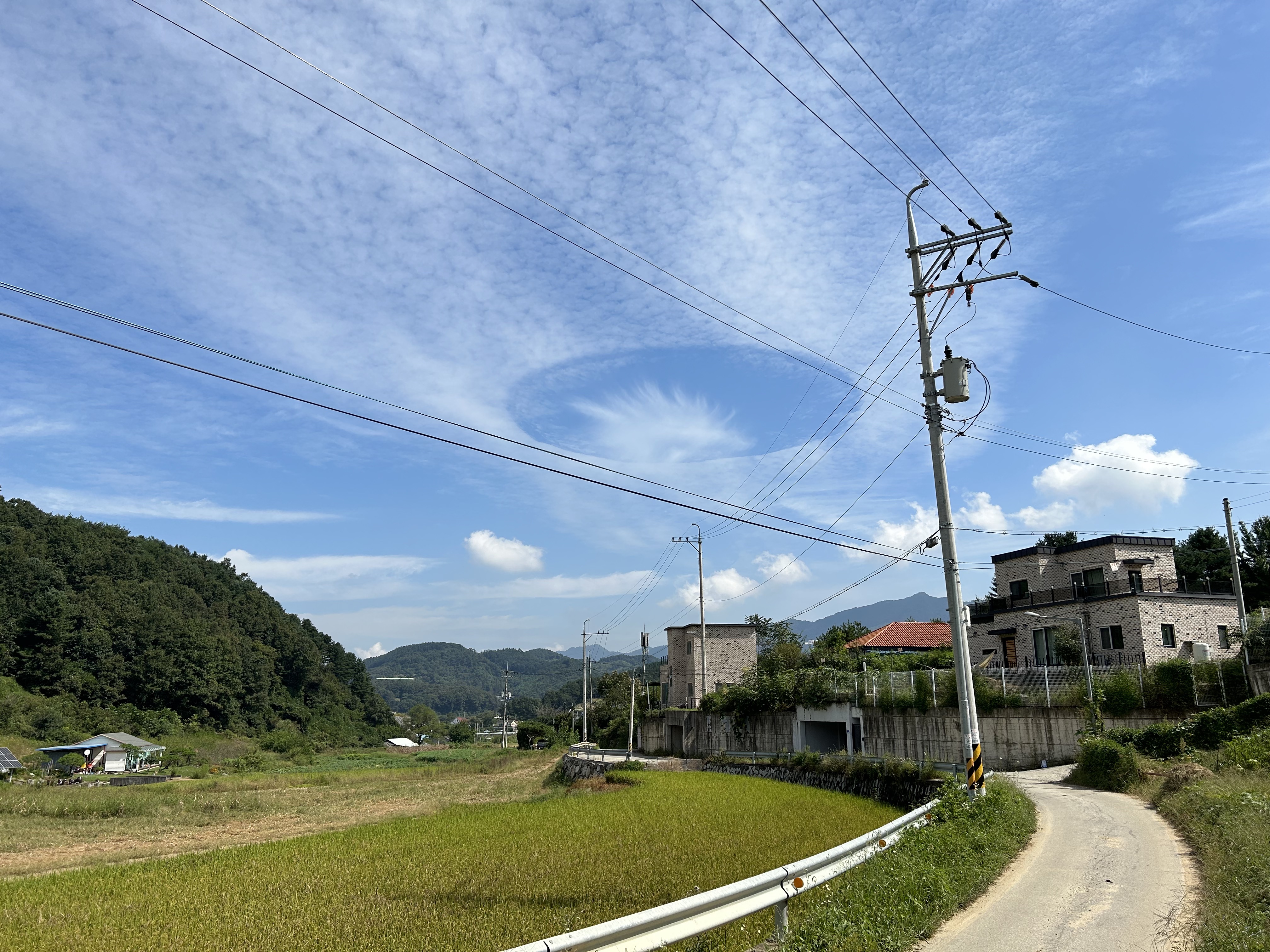 누가 바라트론 소환함 | 로스트아크 - 자유게시판
