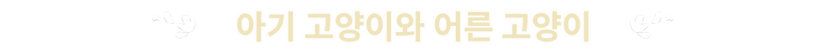 [KF]_StorePage_Banner_KR_KittenOrCat.png