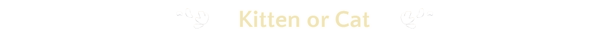 [KF]_StorePage_Banner_KittenorCat.png
