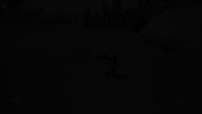 거북이 사진2.gif