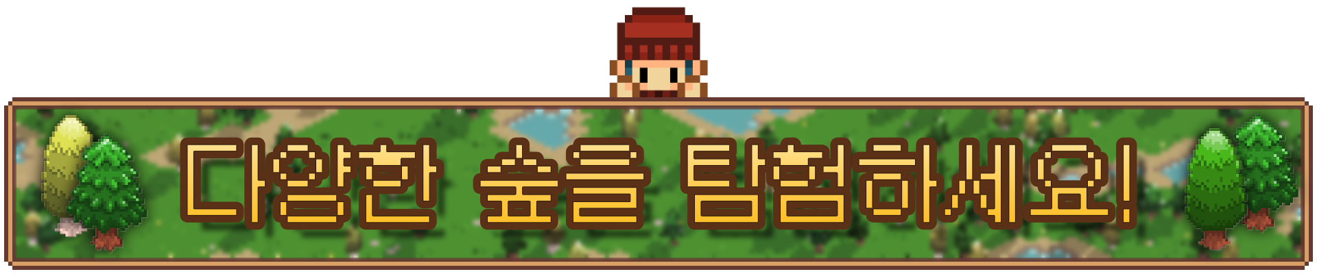 5_Banner.png