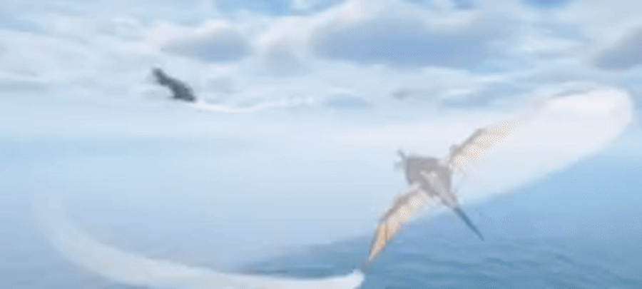 sws_gif_2.gif