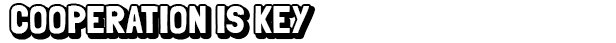 title_03_cooperation-is-key.png