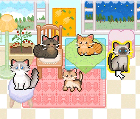 EveryCat.gif