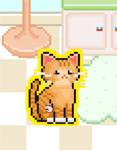 catGGuk.gif