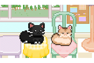 catSleep.gif