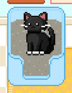 catpoop.gif