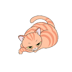 고양이_gif_250x250.gif